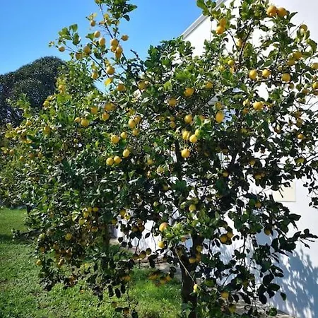 Dolce Villa *