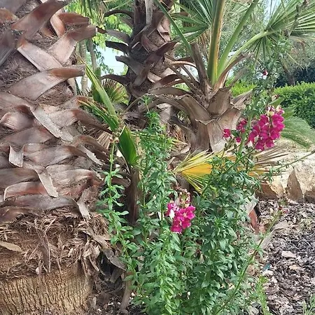 Dolce 프란카빌라 폰타나