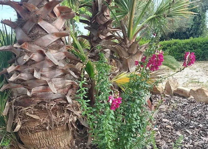 Dolce Francavilla Fontana